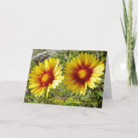 F8 Yellow Wildflowers Gaillardia