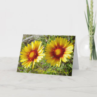 F8 Yellow Wildflowers Gaillardia Card