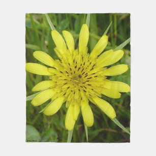 F9 Yellow Wildflower Goats-beard Tragopogon dubius Fleece Blanket