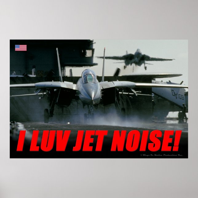 F-14 Jet Noise Poster (Front)