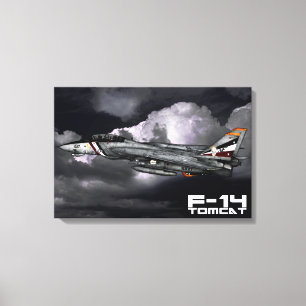 F-14 Tomcat Canvas Print