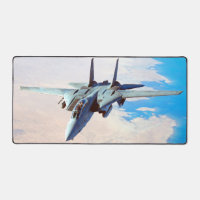 F-14 TOMCAT