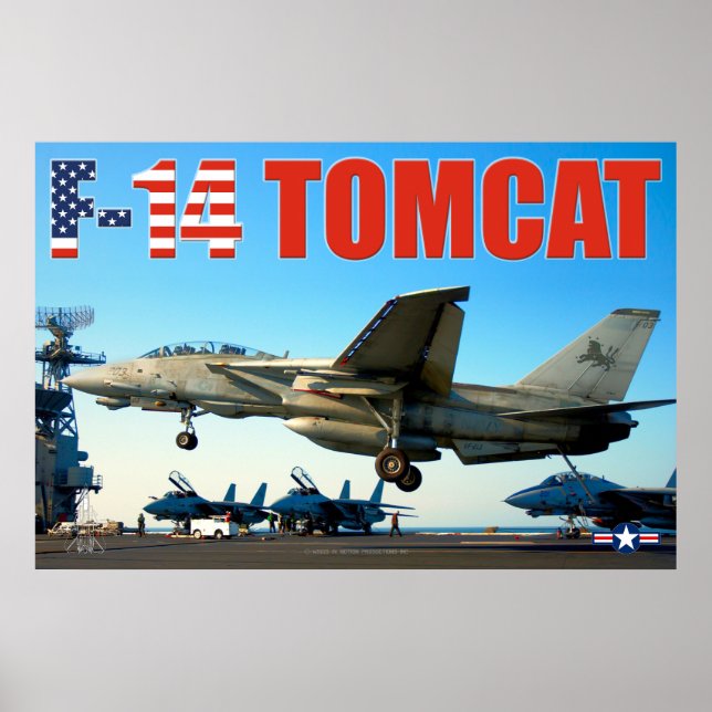 F-14 TOMCAT "HOOK DOWN" POSTER (Front)