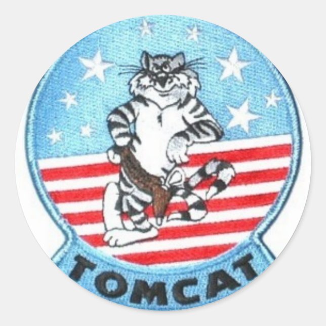F-14 TOMCAT JET FIGHTER STICKERS (Front)