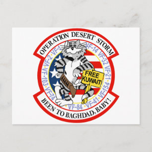 F-14 Tomcat Operation Desert Storm Postcard