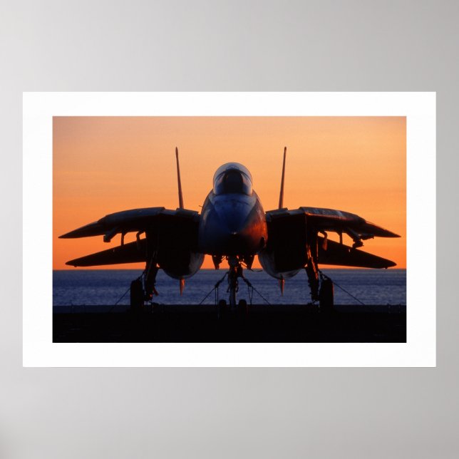 F-14 Tomcat Poster (Front)