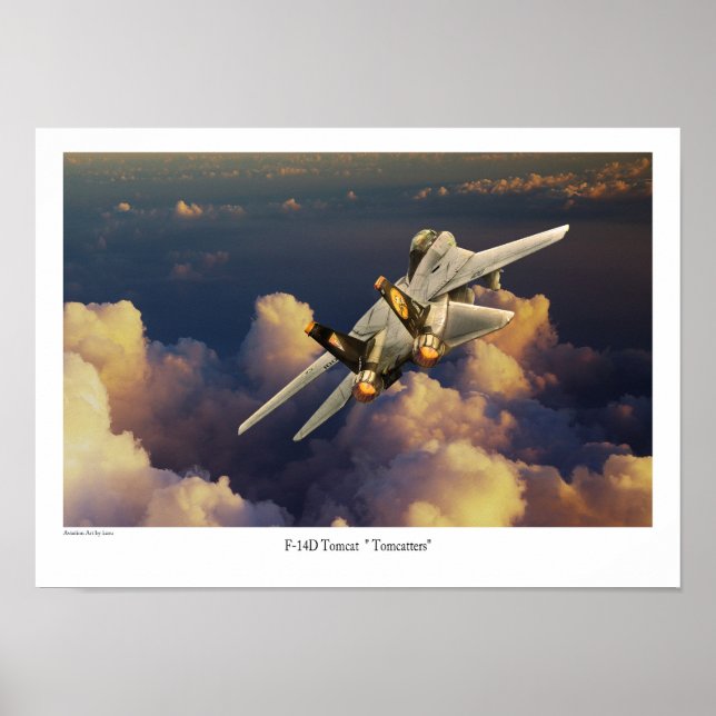 F-14 Tomcat  Poster (Front)