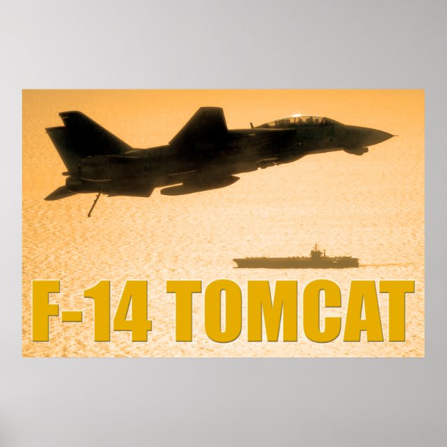F-14 TOMCAT POSTER (Front)