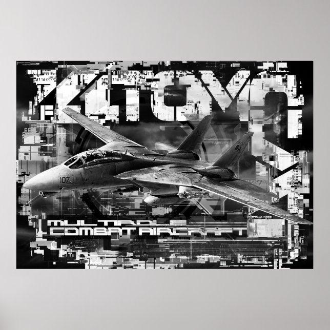 F-14 Tomcat Value Poster Paper (Matte) Poster (Front)