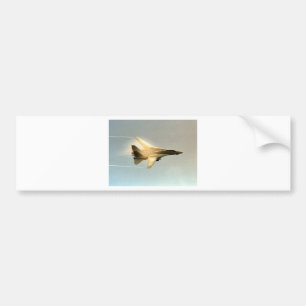 F-14 TOMCAT WITH VAPOR BUMPER STICKER
