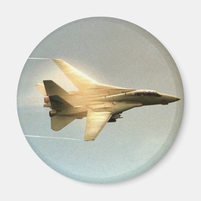 F-14 TOMCAT WITH VAPOR MAGNET (Front)