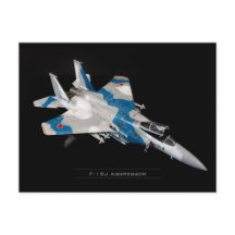 F-15J Aggressor