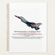F-16 Fighting Falcon Fighter Jet