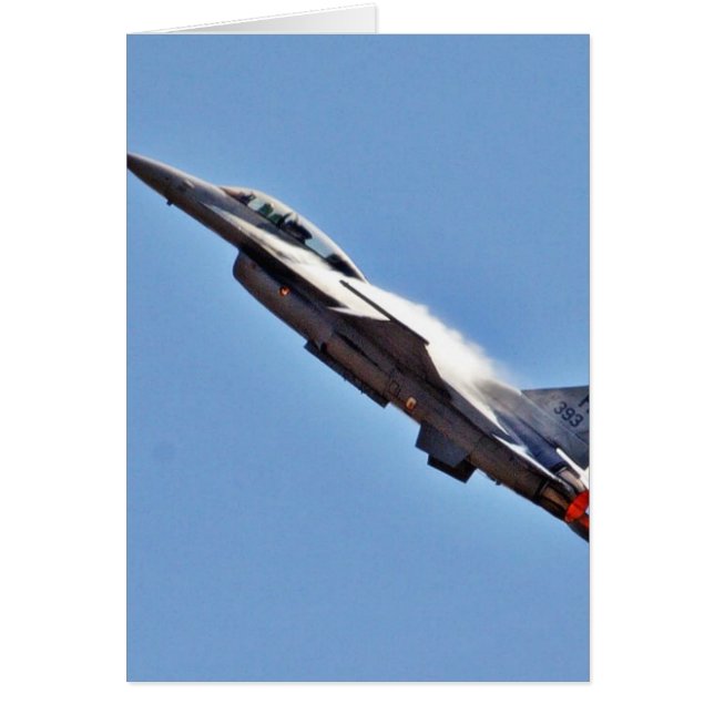 F 16s Jets Fighters Aeroplanes (Front)