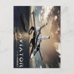 F-18 Hornet Fighter Jet Postcard