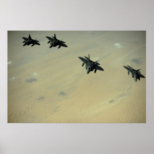 F-22 Raptors Poster
