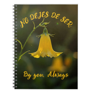 F.C.Yellow Notebook