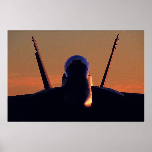FA-18 Hornet Poster (Front)