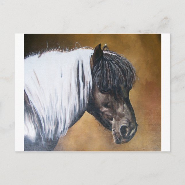 FAA-AfroPony Postcard (Front)