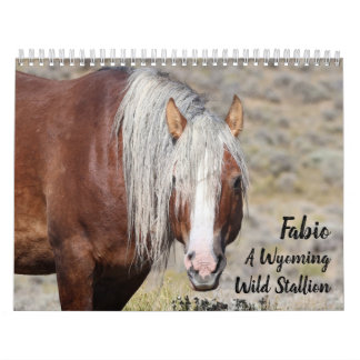 Fabio A Wild Wyoming Stallion Calendar