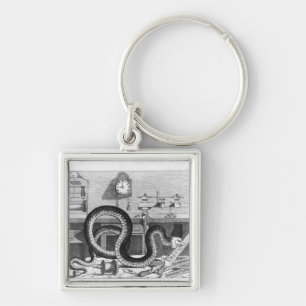 Fable of the Snake and the Files Key Ring