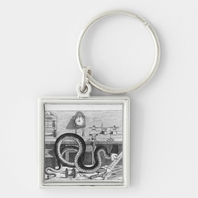 Fable of the Snake and the Files Key Ring (Front)