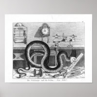 Fable of the Snake and the Files