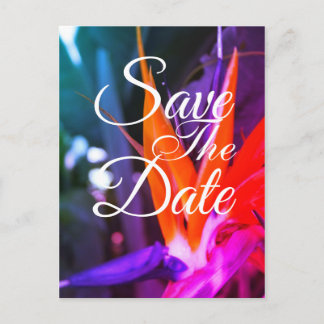Fabulous Bird Of Paradise Wedding Save The Date Announcement Postcard