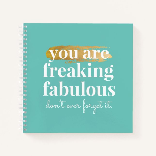 Fabulous Friend Inspirational Fun Aqua Blue Notebook (Front)