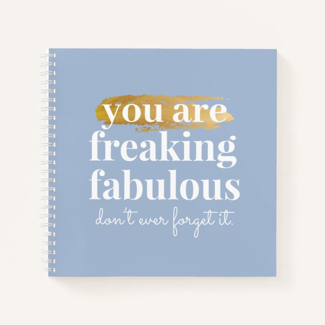 Fabulous Friend Inspirational Funny Dusty Blue Notebook (Front)
