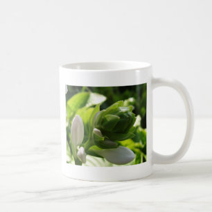 Fabulous Hosta Coffee Mug