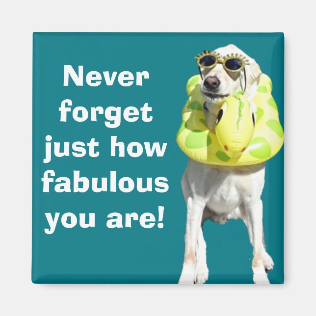 Fabulous Magnet (Front)