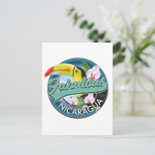 Fabulous Nicaragua toucan logo Postcard