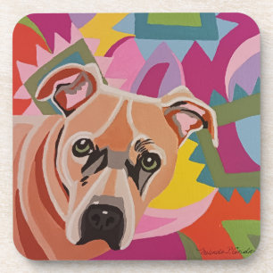Fabulous Pitty Coaster