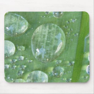 Fabulous Water Bead Mouse Mat
