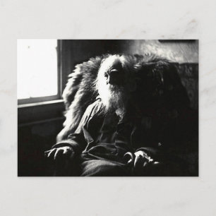 "Face Always to the Sunshine" Mickle Street Camden Postcard