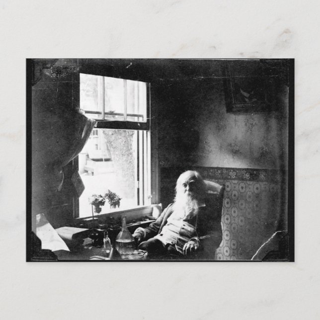 Face Always To the Sunshine: Whitman at Mickle St. Postcard (Front)