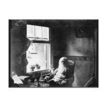 Face Always To the Sunshine: Whitman at Mickle St.