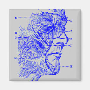 Face Diagram Magnet