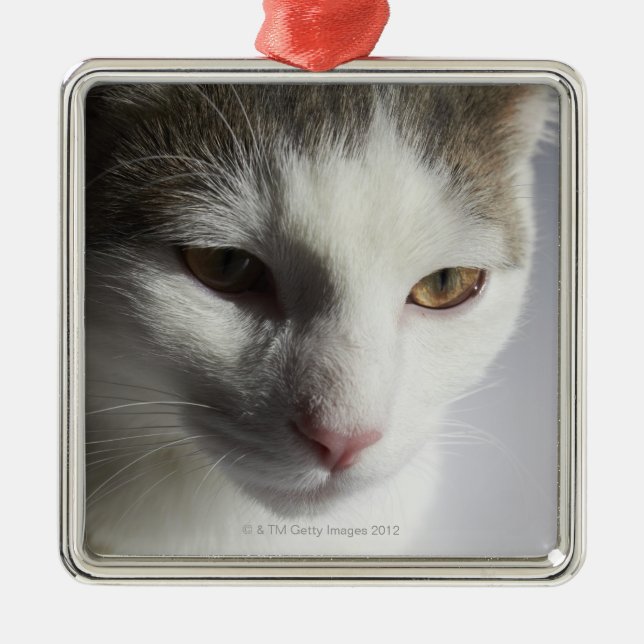 Face of a cat metal tree decoration (Front)