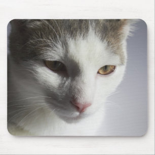 Face of a cat mouse mat