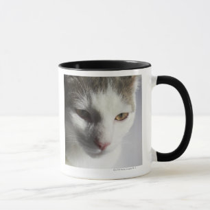 Face of a cat mug
