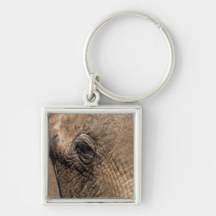 Face of an Elephant Key Ring