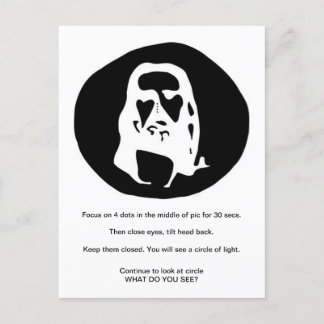 Face of Christ Optical Illusion Postcard