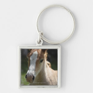 face of foal key ring