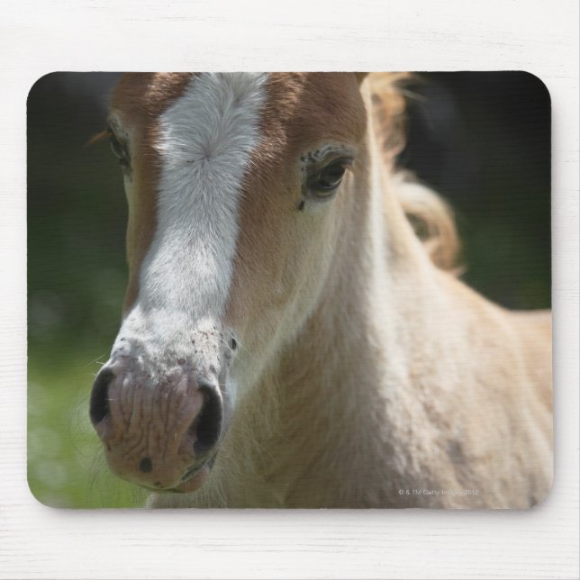 face of foal mouse mat (Front)