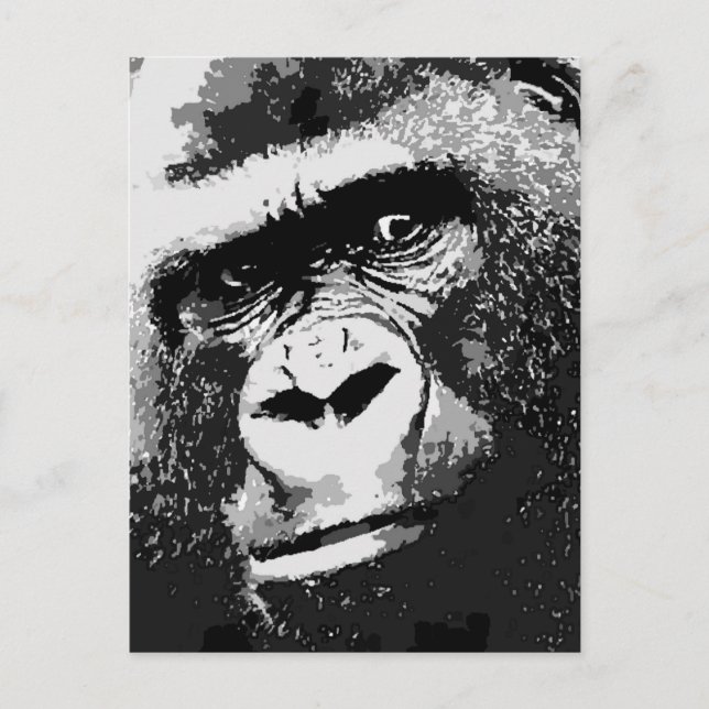 Face of Gorilla Postcard (Front)