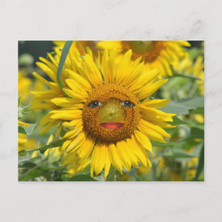 FACE OF THE SUN POSTCARD