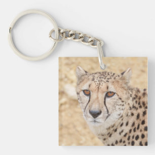 Face of the Wild: Cheetah's Intense Look Key Ring