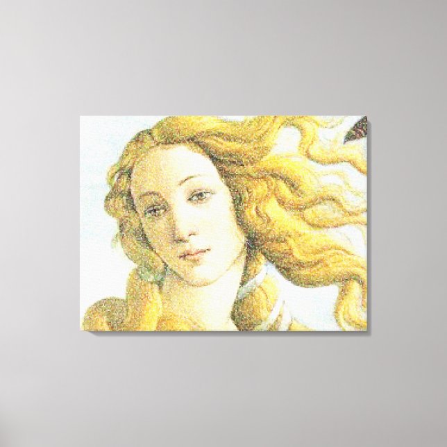 Face of Venus Canvas Print (Front)